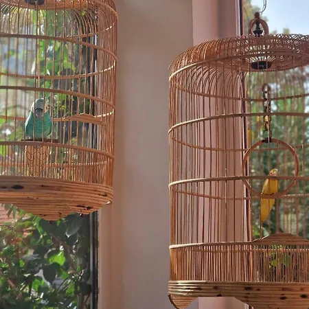 Ξενοδοχείο Les Lauriers 3*