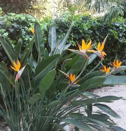 Ξενοδοχείο Les Lauriers 3*