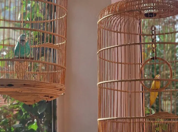 ホテル Les Lauriers 3*